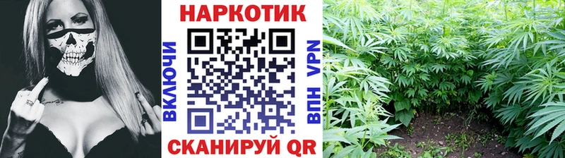 Как найти наркотики Терек АМФ  МЕФ  ГЕРОИН  СК  Канабис  Псилоцибиновые грибы 