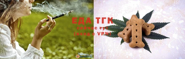 индика Абаза