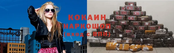 индика Абаза