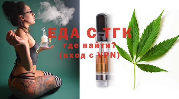 индика Абаза