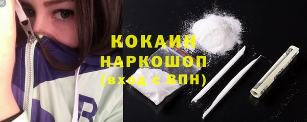 индика Абинск