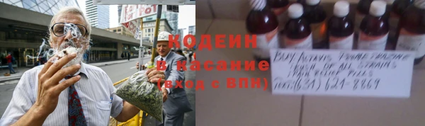 индика Абаза