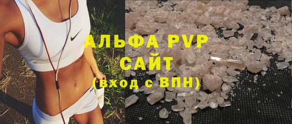 индика Абинск