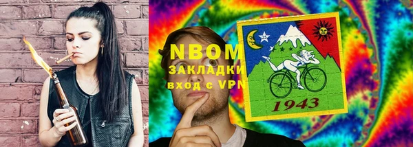 индика Абаза