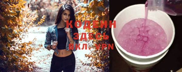 индика Абинск