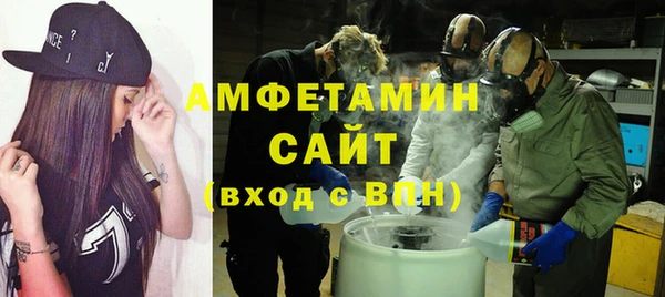 индика Абаза