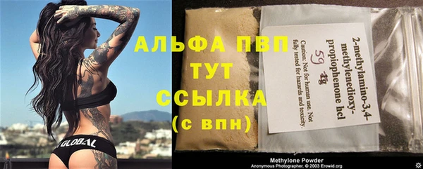 индика Абаза