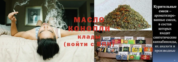 индика Абаза