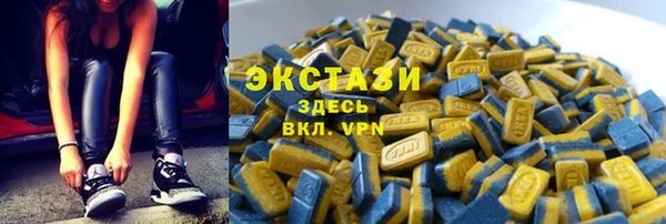 индика Абаза