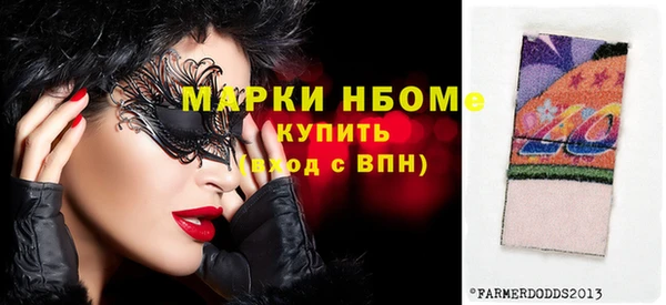 индика Абаза