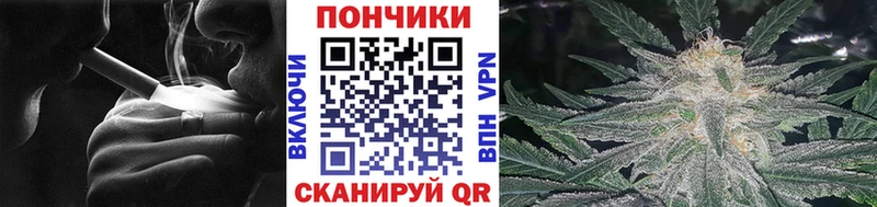 купить наркотик  Терек  Бошки Шишки семена 